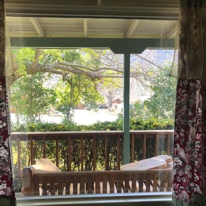 View of a wooden bench on a porch with lush greenery and trees outside.