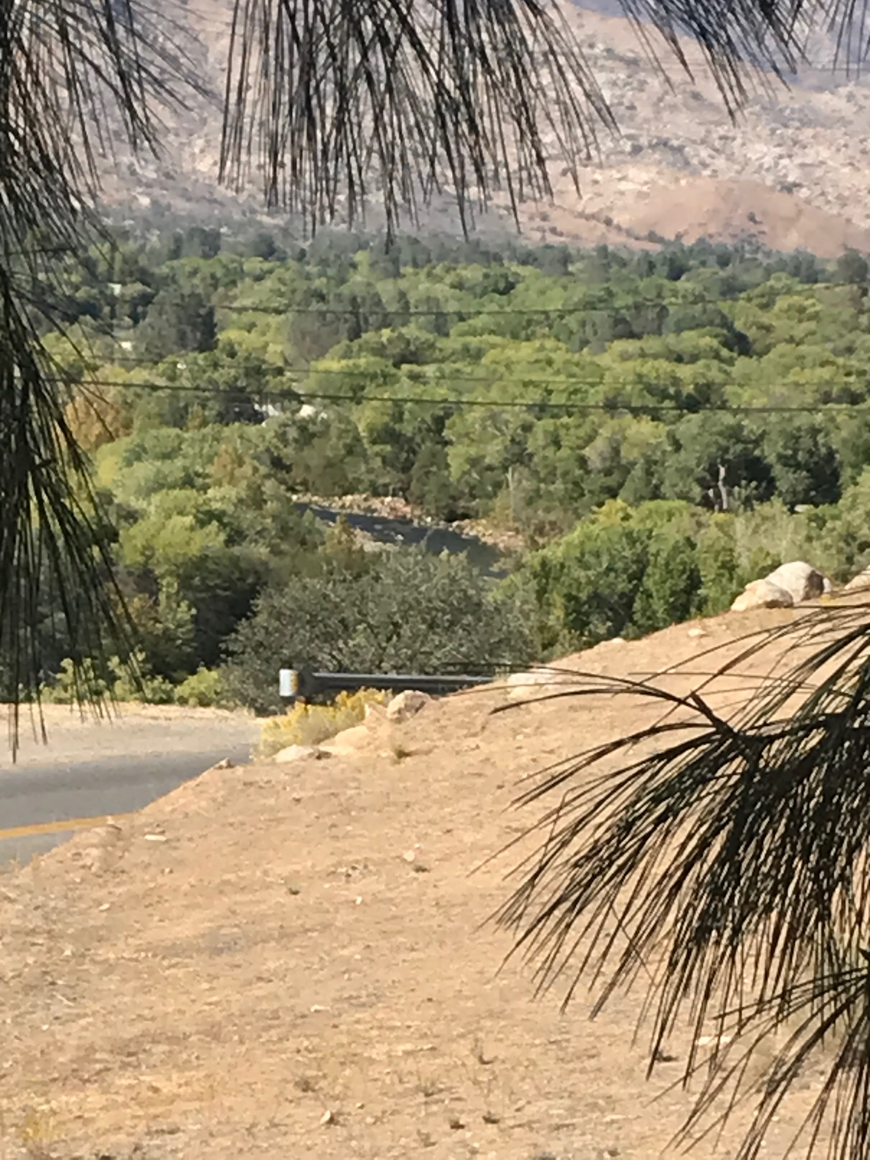 A view of a green valley with a river, framed by tree branches and a sandy foreground.