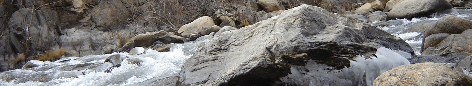 A rocky riverbank with flowing water and sparse vegetation.