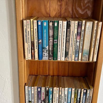 A wooden bookshelf filled with various books, primarily in softcover, organized into two rows.
