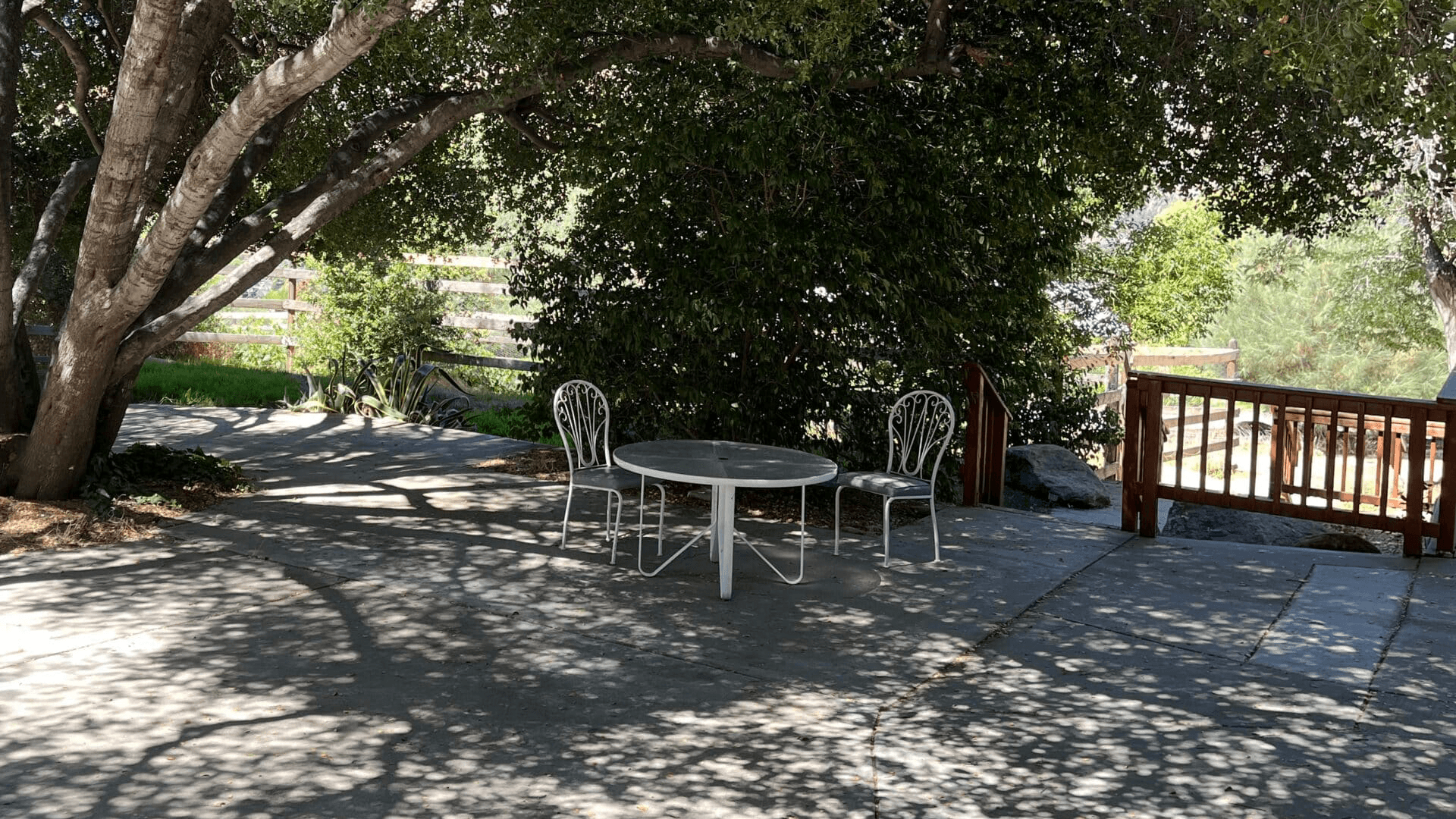 A small round table with two chairs is set beneath a large tree, surrounded by shaded stone paths and greenery.