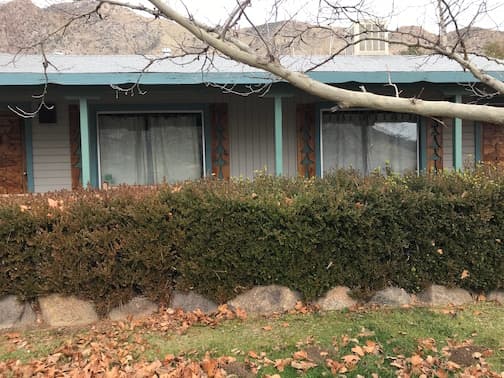 Exterior of a house with two windows, surrounded by a hedge and fallen leaves, under a winter sky.